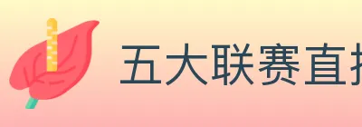 五大联赛直播 Logo